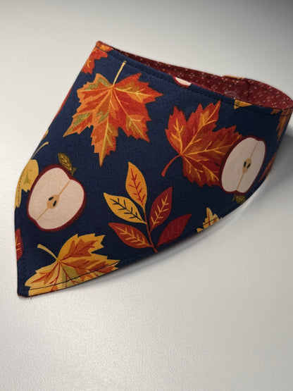 Autumn Orchard Pet Bandana