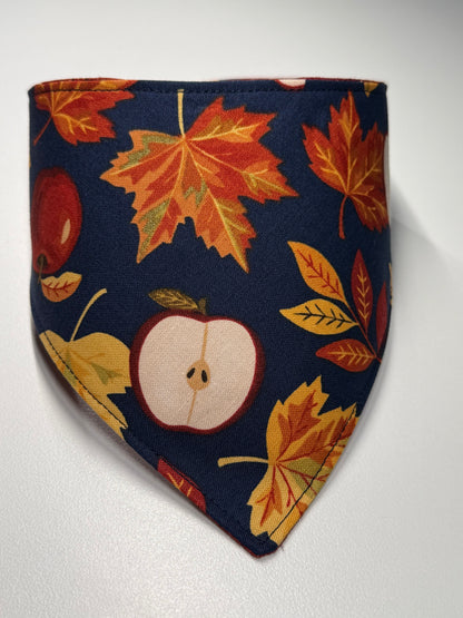 Autumn Orchard Pet Bandana