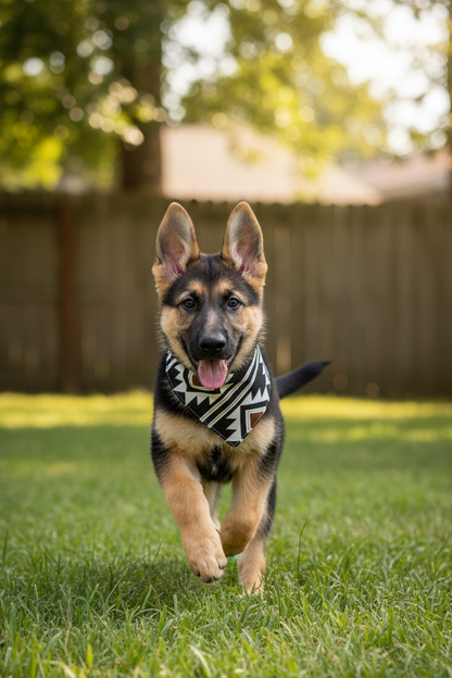 Western Vibes Reversible Bandana