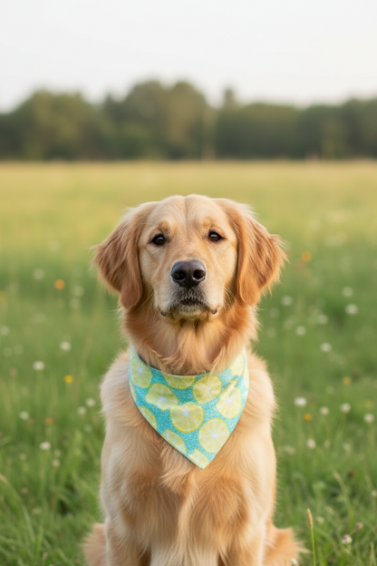 Refreshing Lemon Reversible Bandana