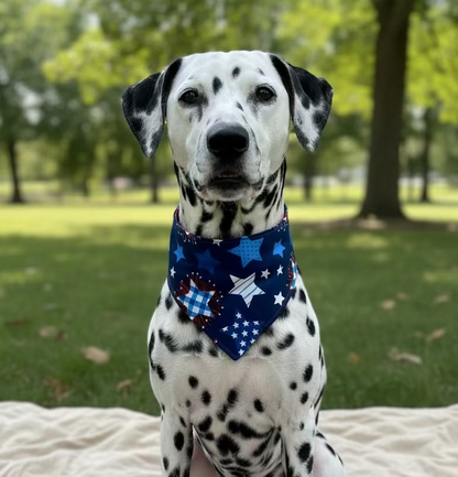 Stars and Stripes Reversible Bandana
